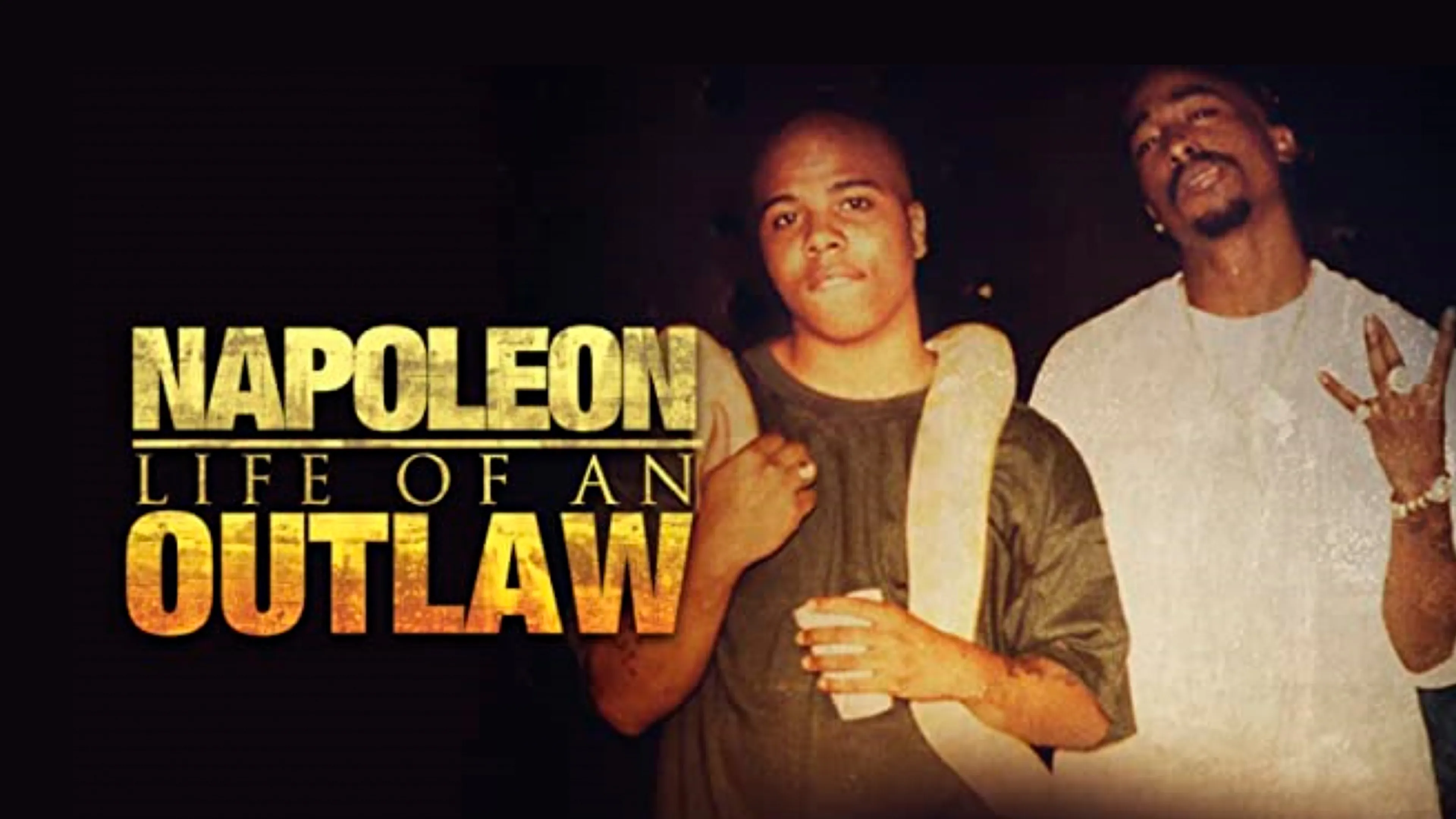 Napoleon: Life of an Outlaw poster